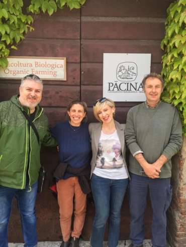 pacina wine tour