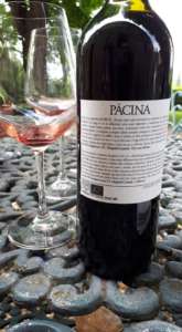 pacina wine tour